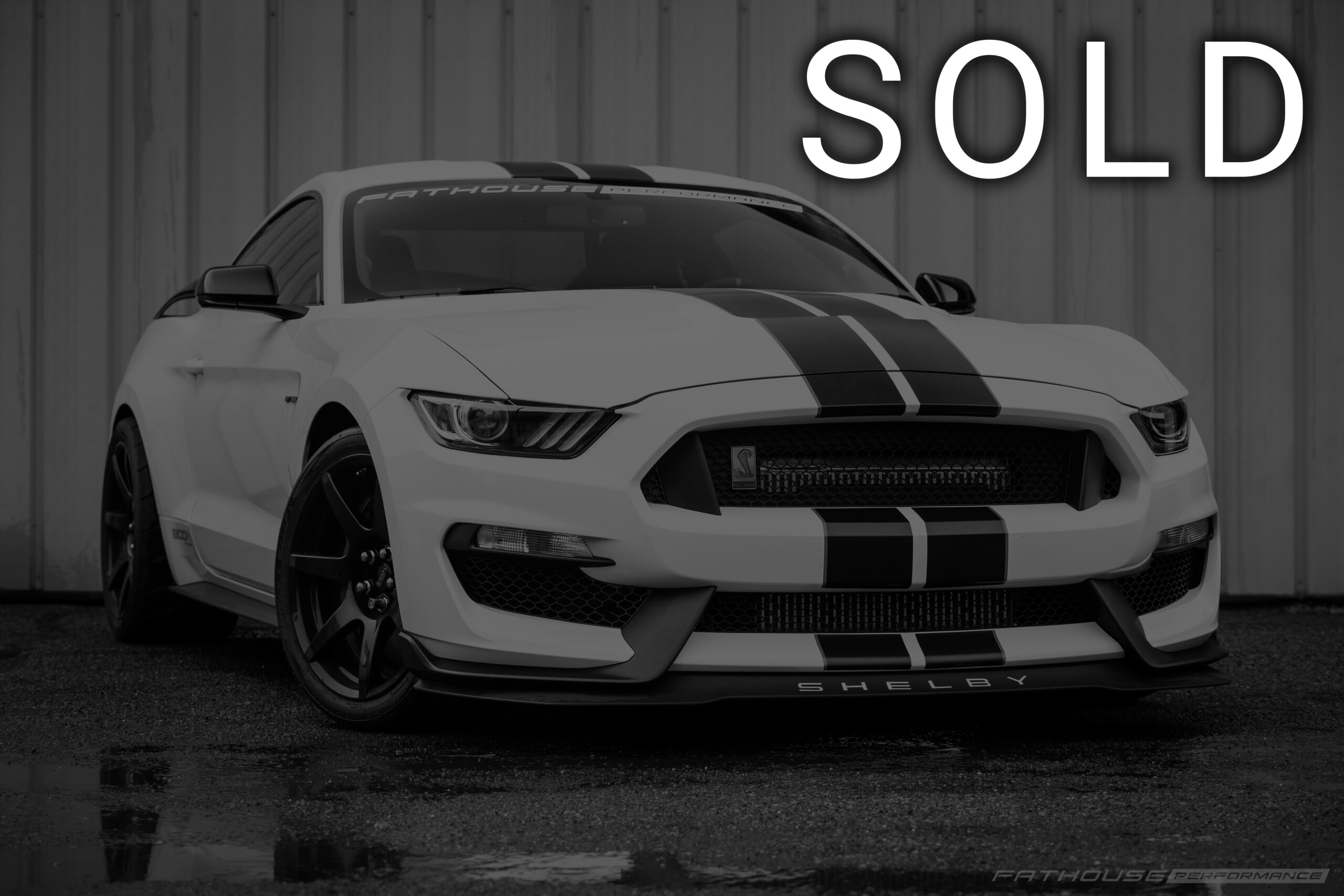 2019 800R Twin Turbo Shelby GT350R #17