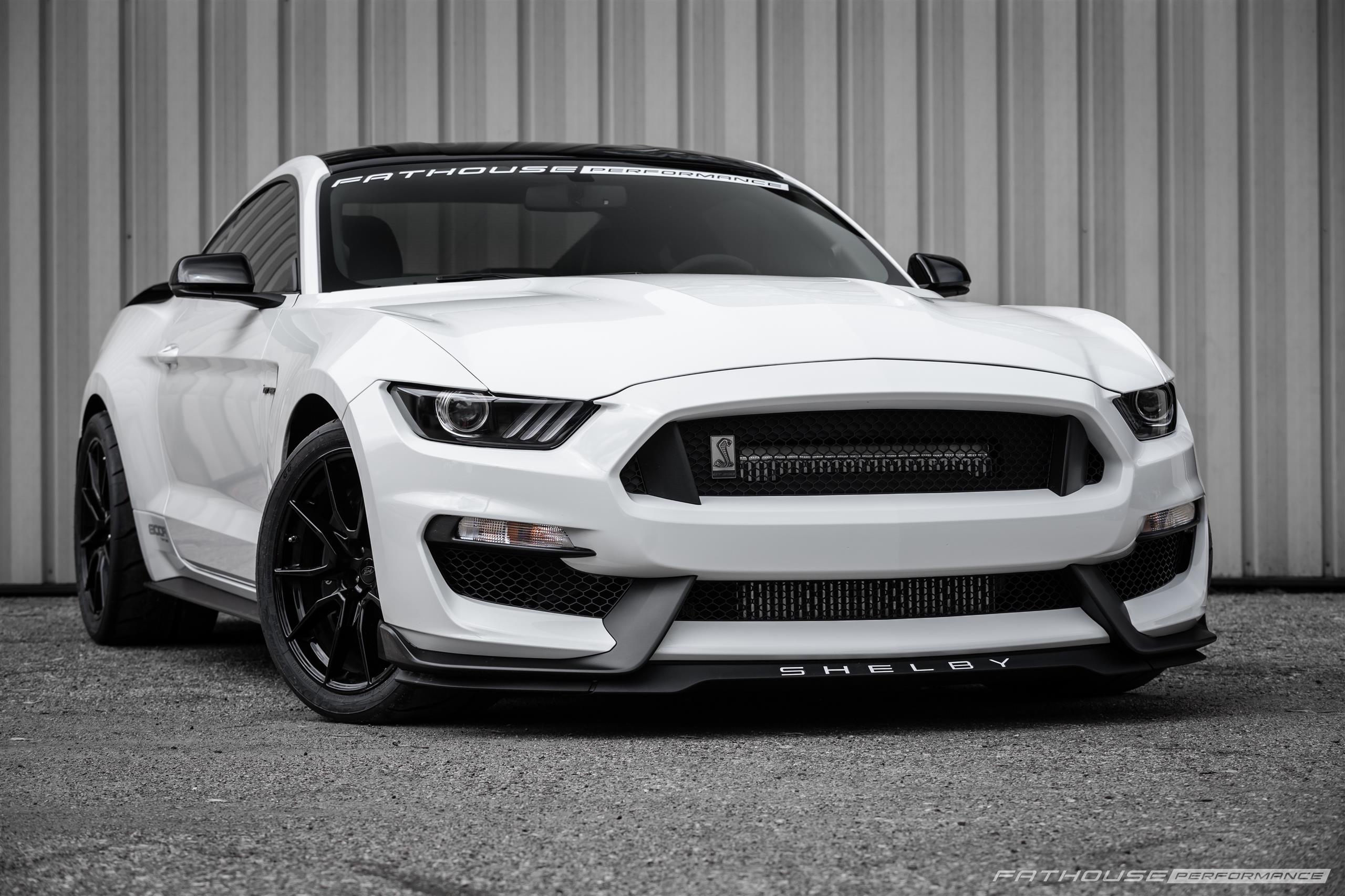 Austin’s 800R Shelby GT350 #20