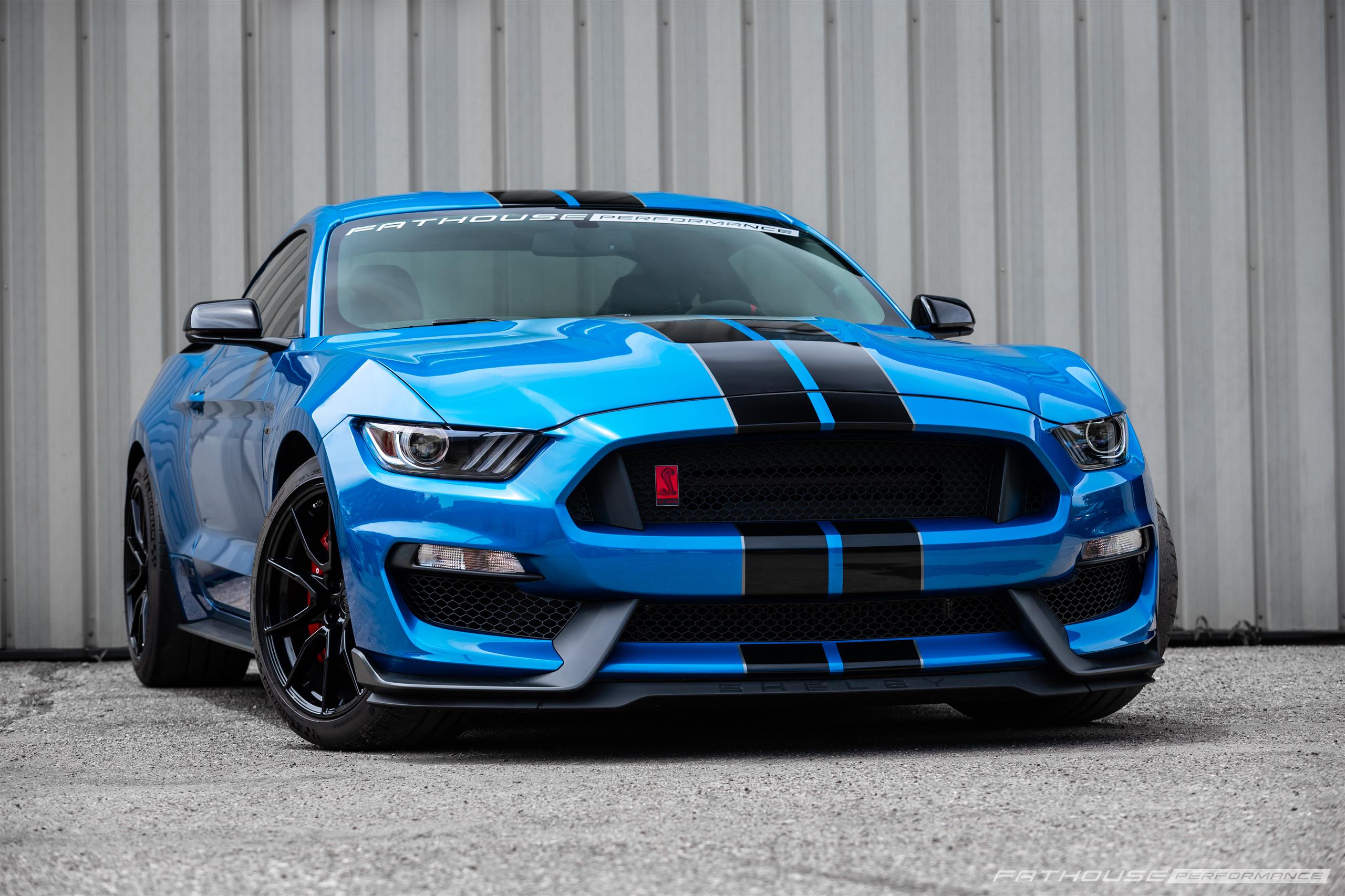 Brian’s 800R Shelby GT350 #19