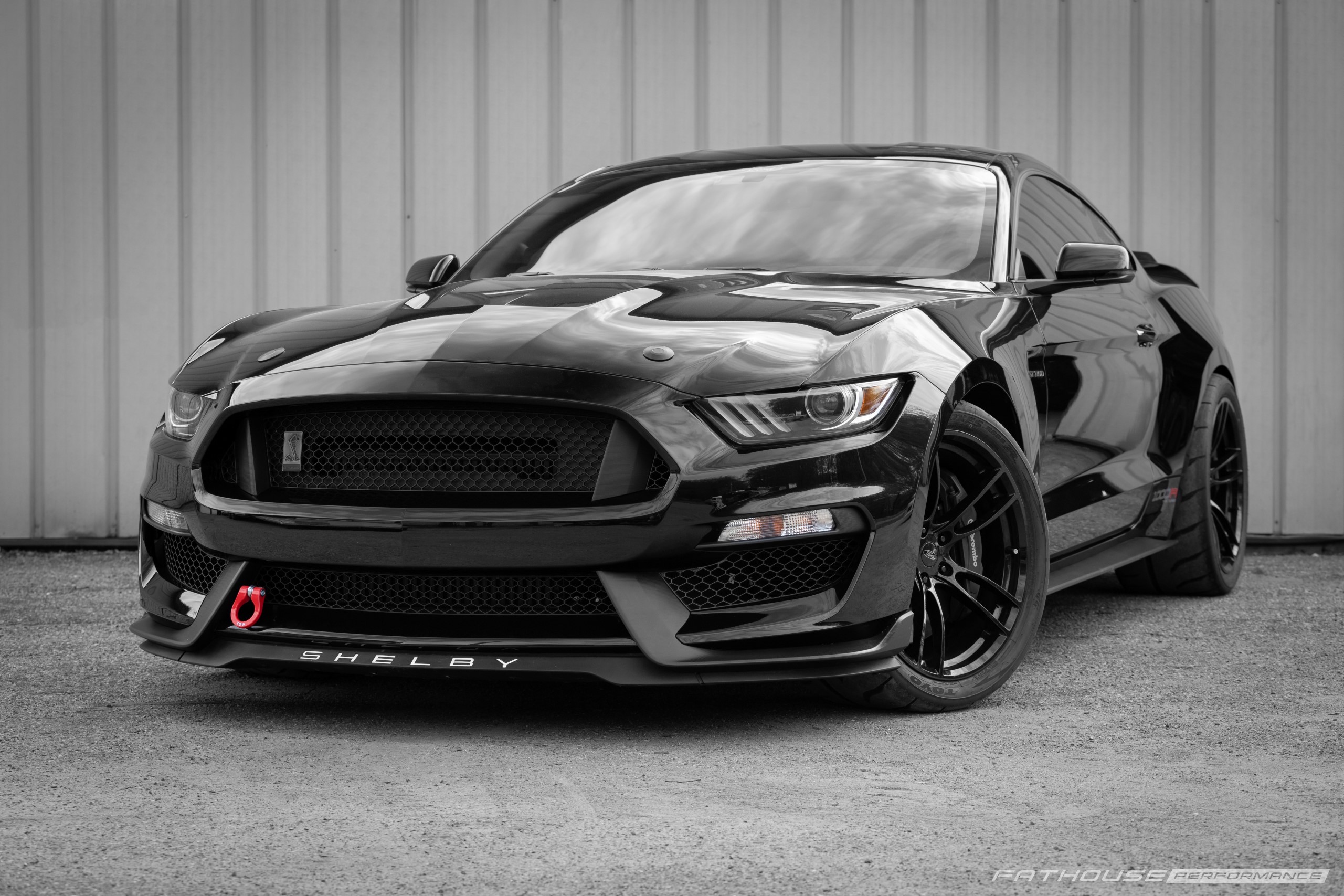 Brad’s 1000R Shelby GT350 #44