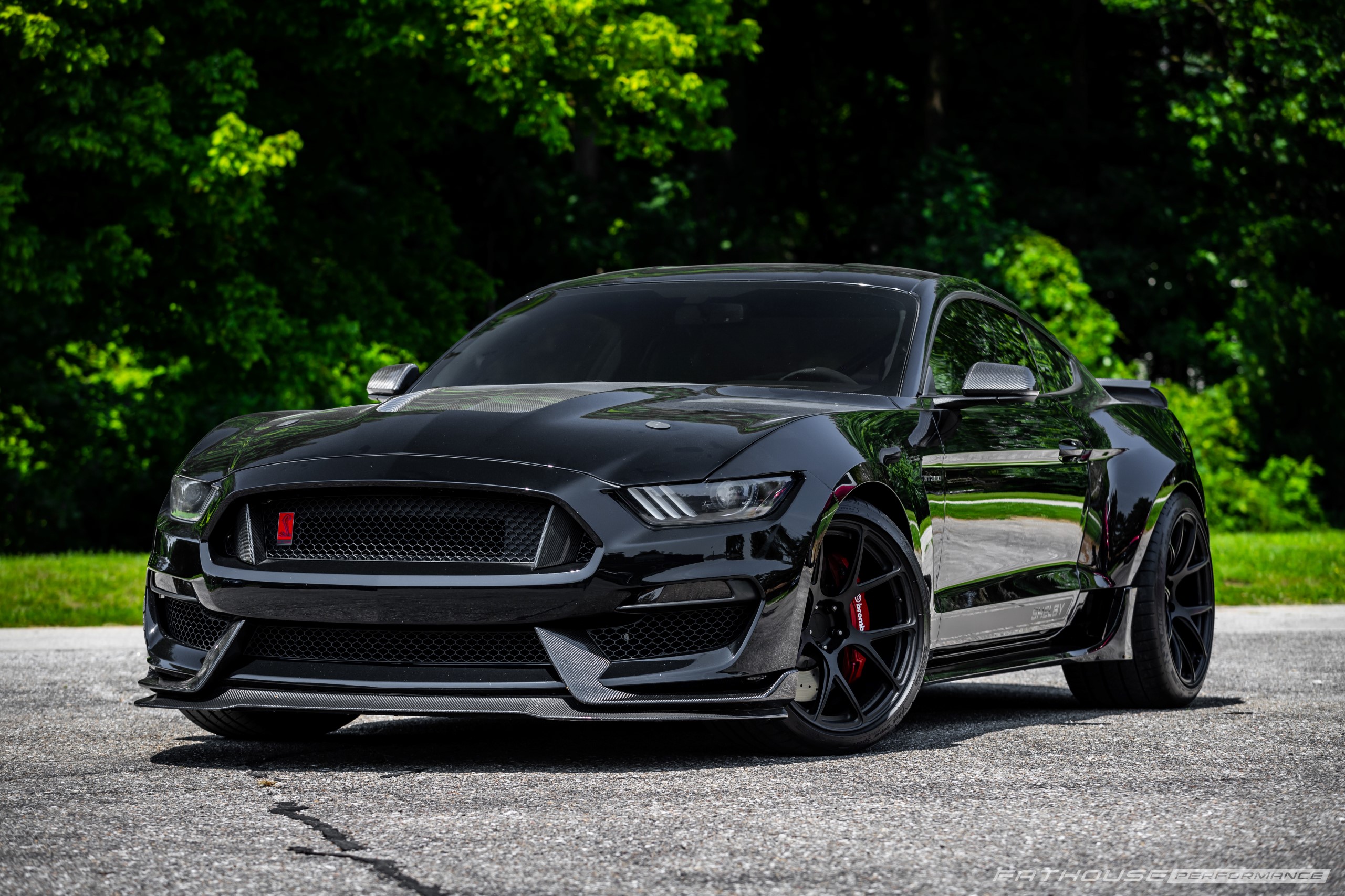 Fatbody 1200R Shelby Widebody GT350 #39