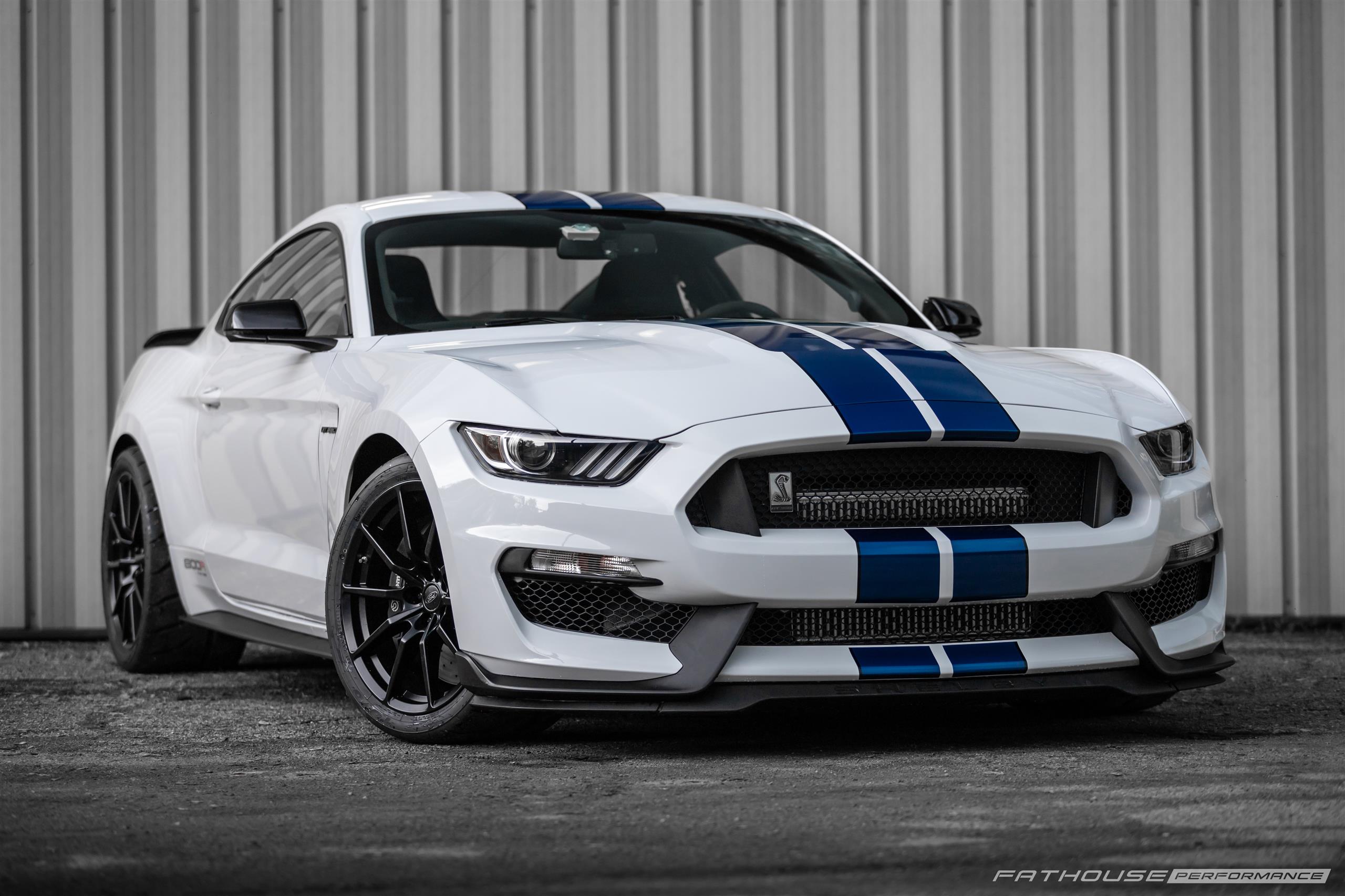 Gary’s 800R Shelby GT350 #33