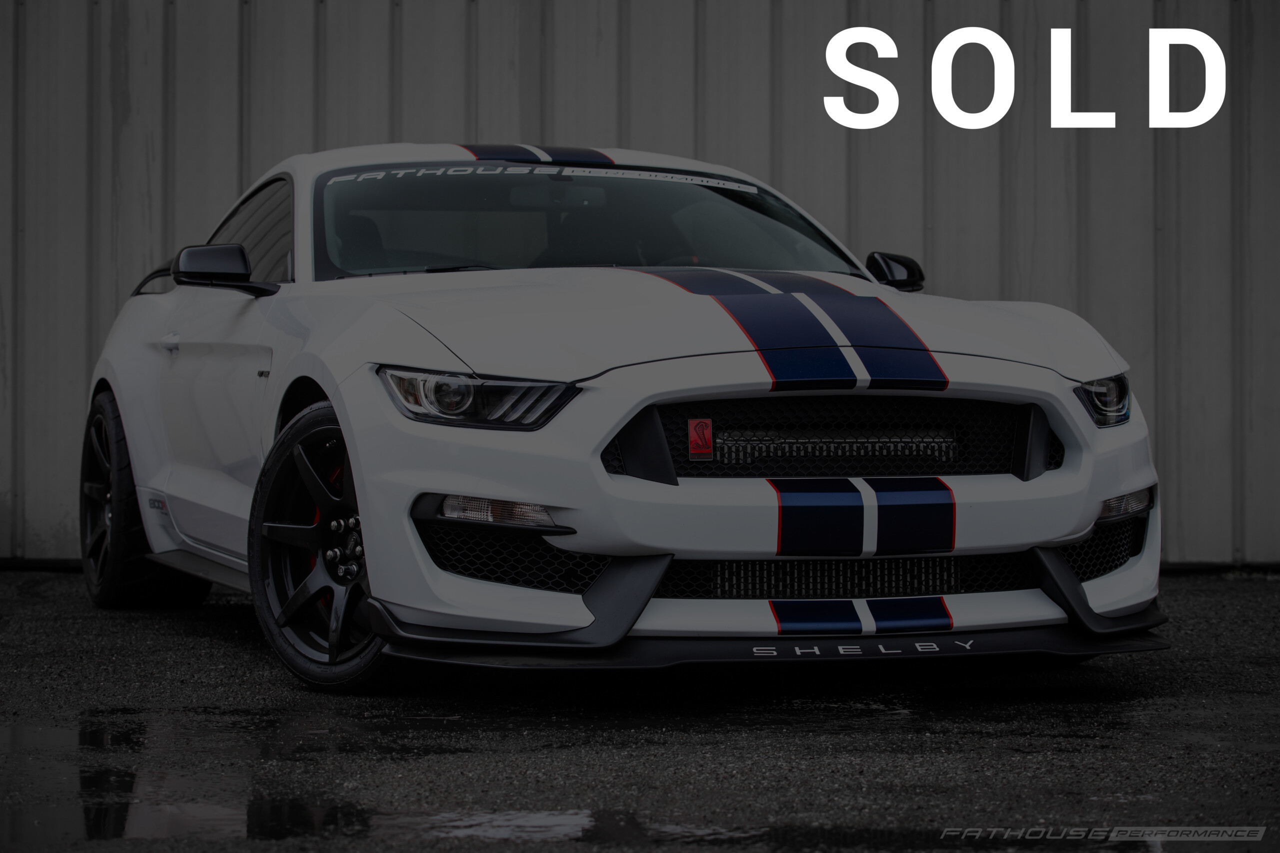 2019 800R Twin Turbo Shelby GT350R #17