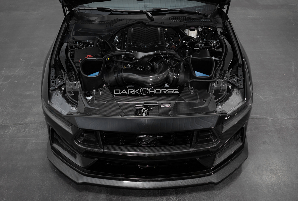 Dark Horse 800R Engine Bay