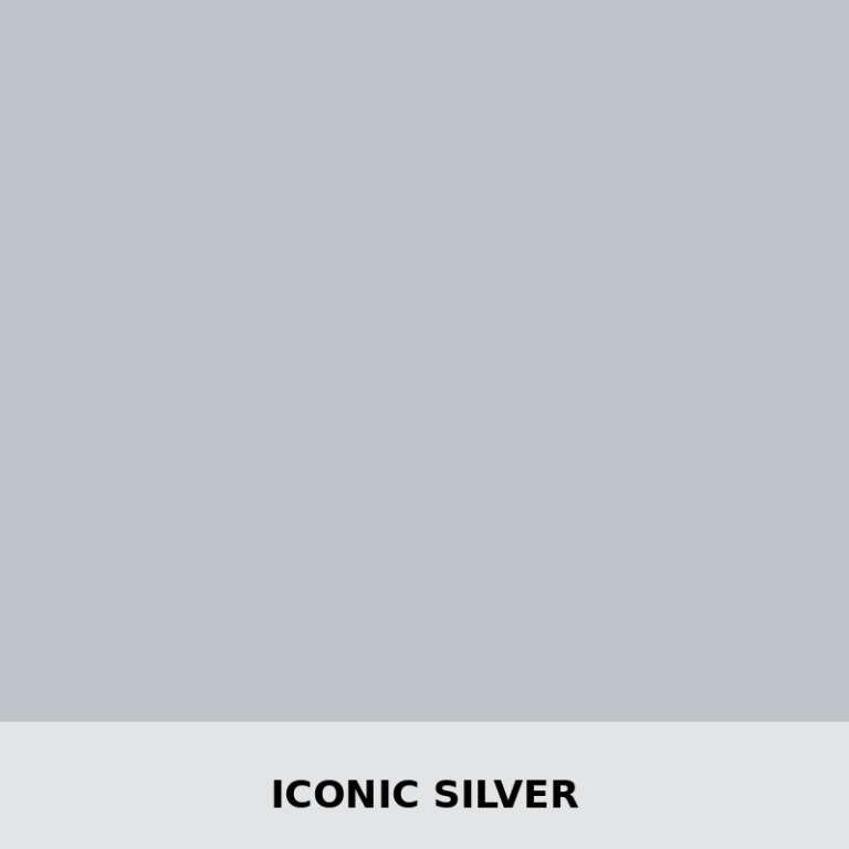 S550 Iconic Silver Backing Plate - Fathouse Performance