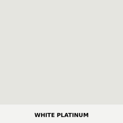 S550 White Platinum Backing Plate