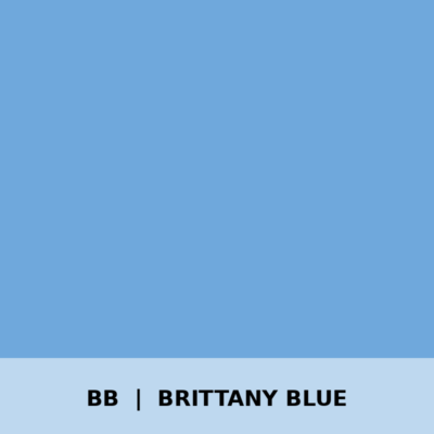 S550 Brittany Blue Backing Plate