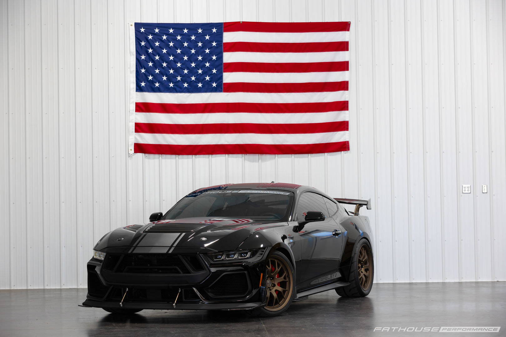 Shelby Super Snake/GT350 Snake Bite Package